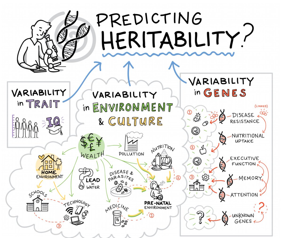 A.Benítez-Burraco on X: "Very important preprint reconciling behavioral  genetics and cultural evolution https://t.co/S7WOAT2po0 👉by neglecting  cultural evolution the contribution of genetics to human behavior becomes  inflated 👉A WEIRD gene problem ...