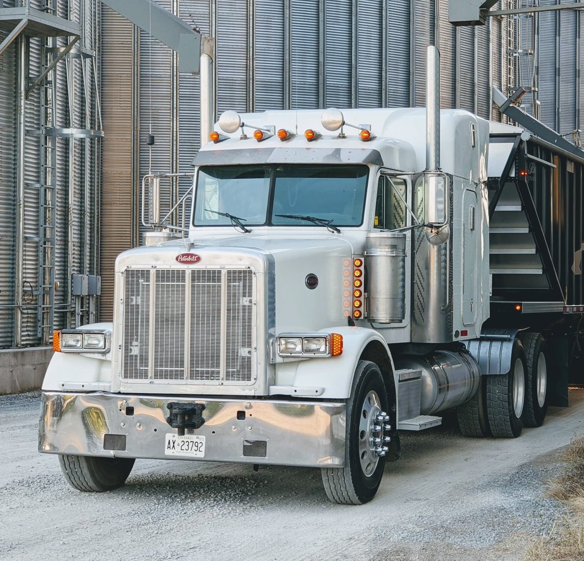 Laura Empringham tweet media