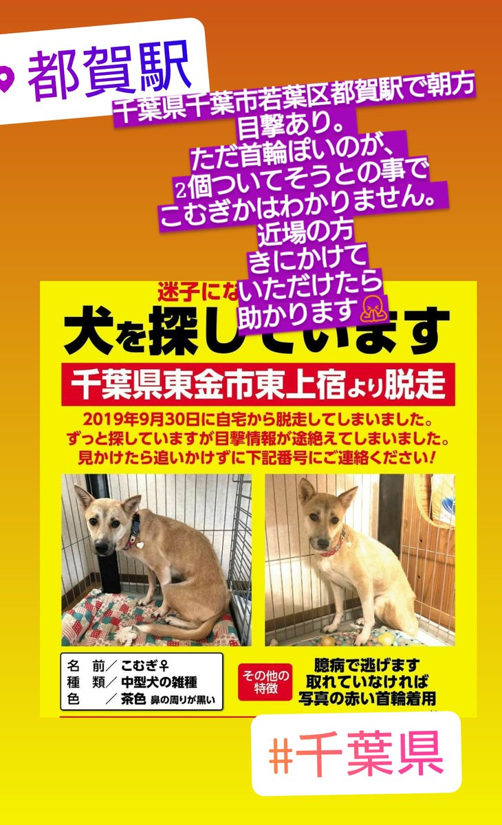 ゆん Tzgmj9znk80cuex Twitter