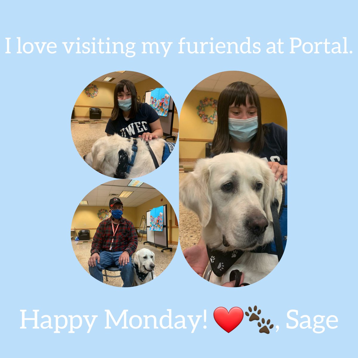 LCCK9Sage's tweet photo. Always great to see furiends! ❤🐾, Sage #ComfortDogs #goldenretriever #happymonday https://t.co/Ej1neFK2wZ