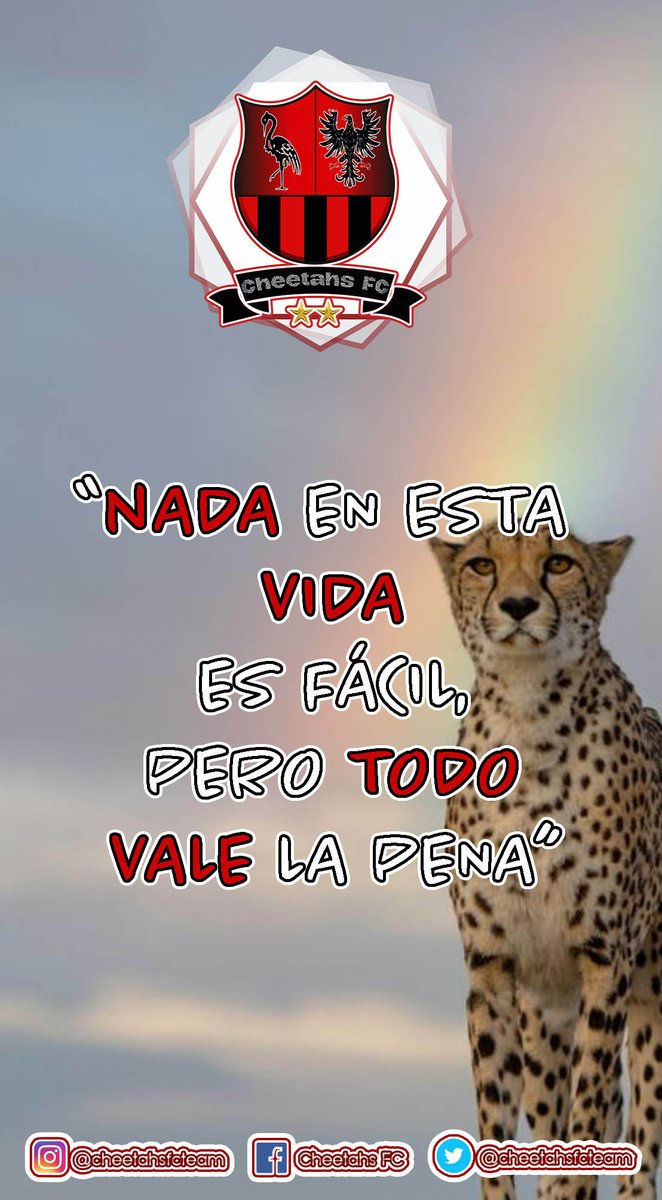 cheetahsfcteam's tweet photo. ๐โฅ๏ธ #FRASEDELASEMANA ๐โฅ๏ธ
#Nada es fรกcil, pero la #FamiliaCheetahs tiene muchas cualidades que los hace llegar lejos en cada #objetivo como el #esfuerzo y la #perseverancia. โจ๐๐ป No olviden que al final todos los esfuerzos #valdrรกn la pena โจ
#CHEETAHSFC https://t.co/TKQnvOhkDZ