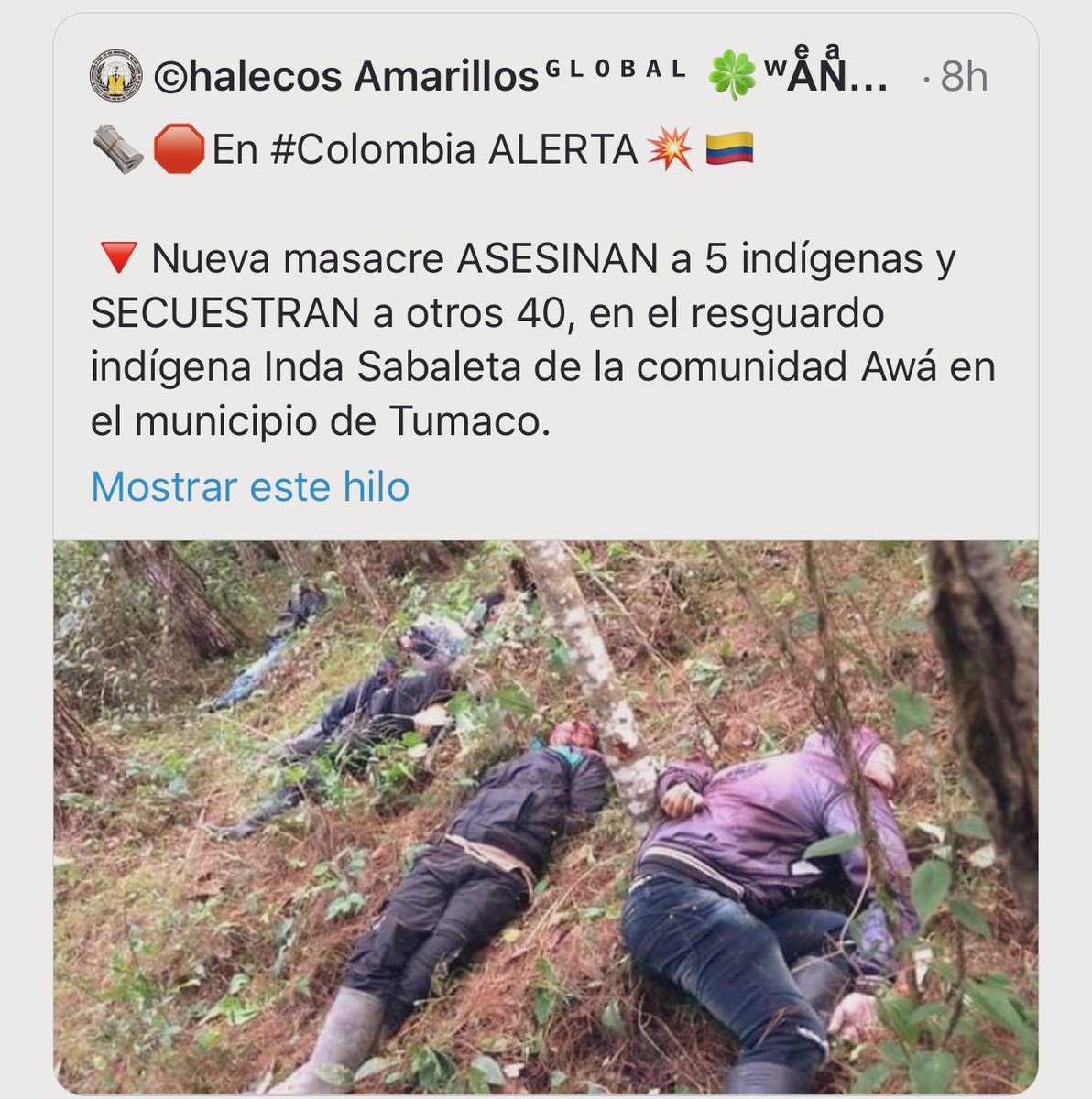 pedro karvajalino tweet media