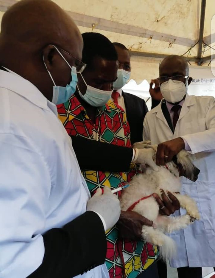 GuessanDelima's tweet photo. La rage est mortelle à 100%. Cependant, elle est évitable à 100% si nous acceptons de vacciner nos animaux de compagnie et de nous faire vacciner après une exposition. Éliminons la rage par la vaccination. @CSRS_CIV @AO_ASPIRE https://t.co/FOXjYCrJsS