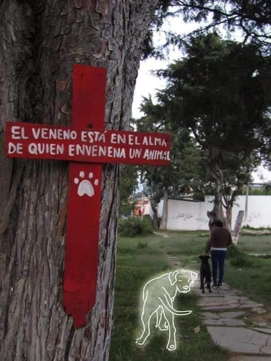 Lorena Salazarさんはtwitterを使っています El Veneno Esta En El Alma De Quien Envenena Un Animal T Co wi8nrqd8 Twitter