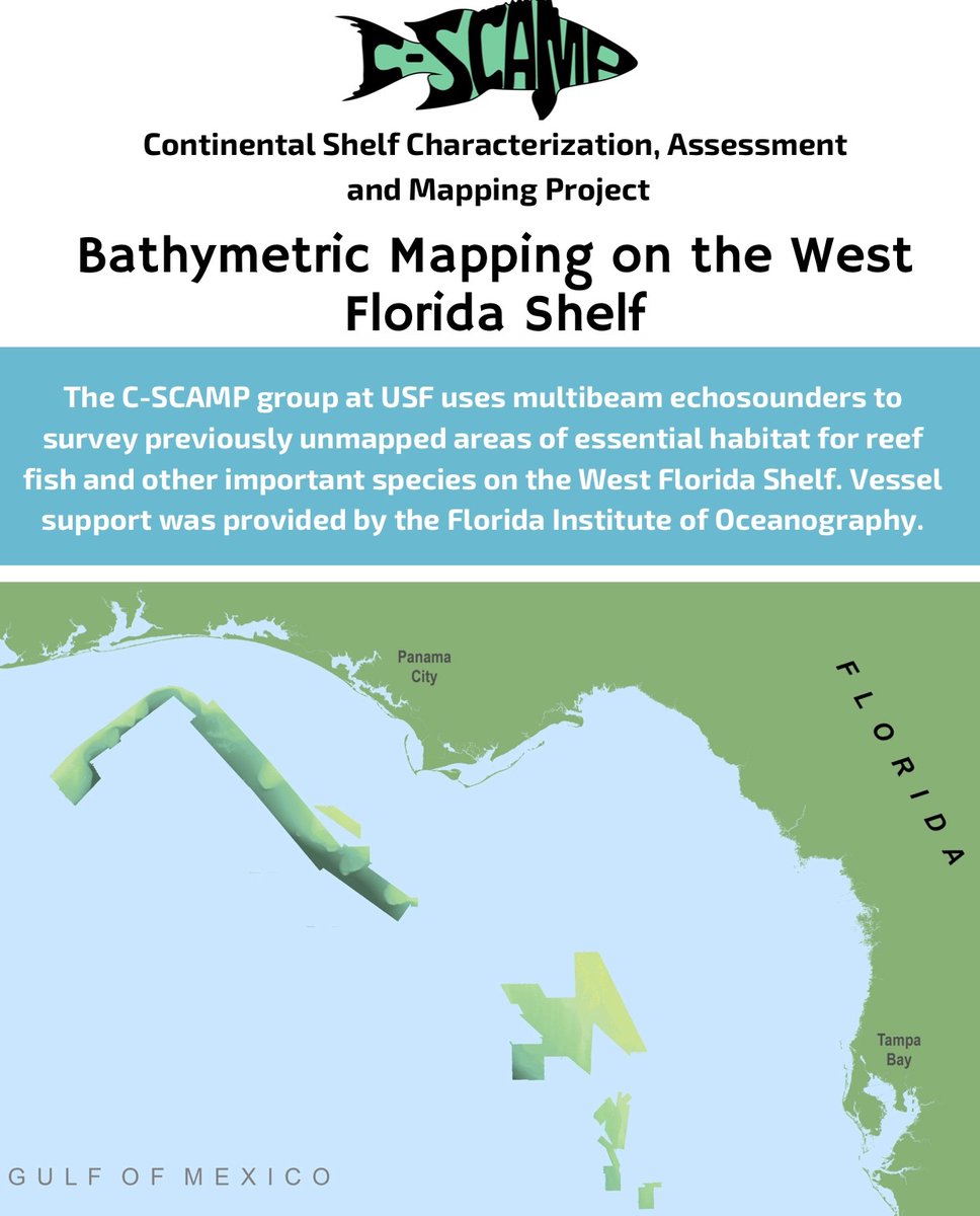CSCAMPscience's tweet image. Check out our infographic on our extensive seafloor mapping efforts in the #GulfofMexico! We targeted unmapped areas that could be essential #habitat for reef #fishes and other important species. 
rb.gy/7u5ruu
#CSCAMP #Bathymetry #MappingtheGulf #Florida #MarineScience