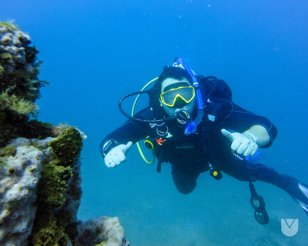 AzulScuba's tweet photo. Luego de seis meses en superficie YA regresamos al Azul. Siguiendo las normas y procedimientos de bio-seguridad disfrutamos mucho de las dos inmersiones del pasado sábado 26.
¿Te anotas?
#AzulScuba #UnMarDeAventuras
#Scuba #CursoOnlineVzla #BuceoEnVenezuela #CursoDeBuceo https://t.co/Dm8Dv9bjLm