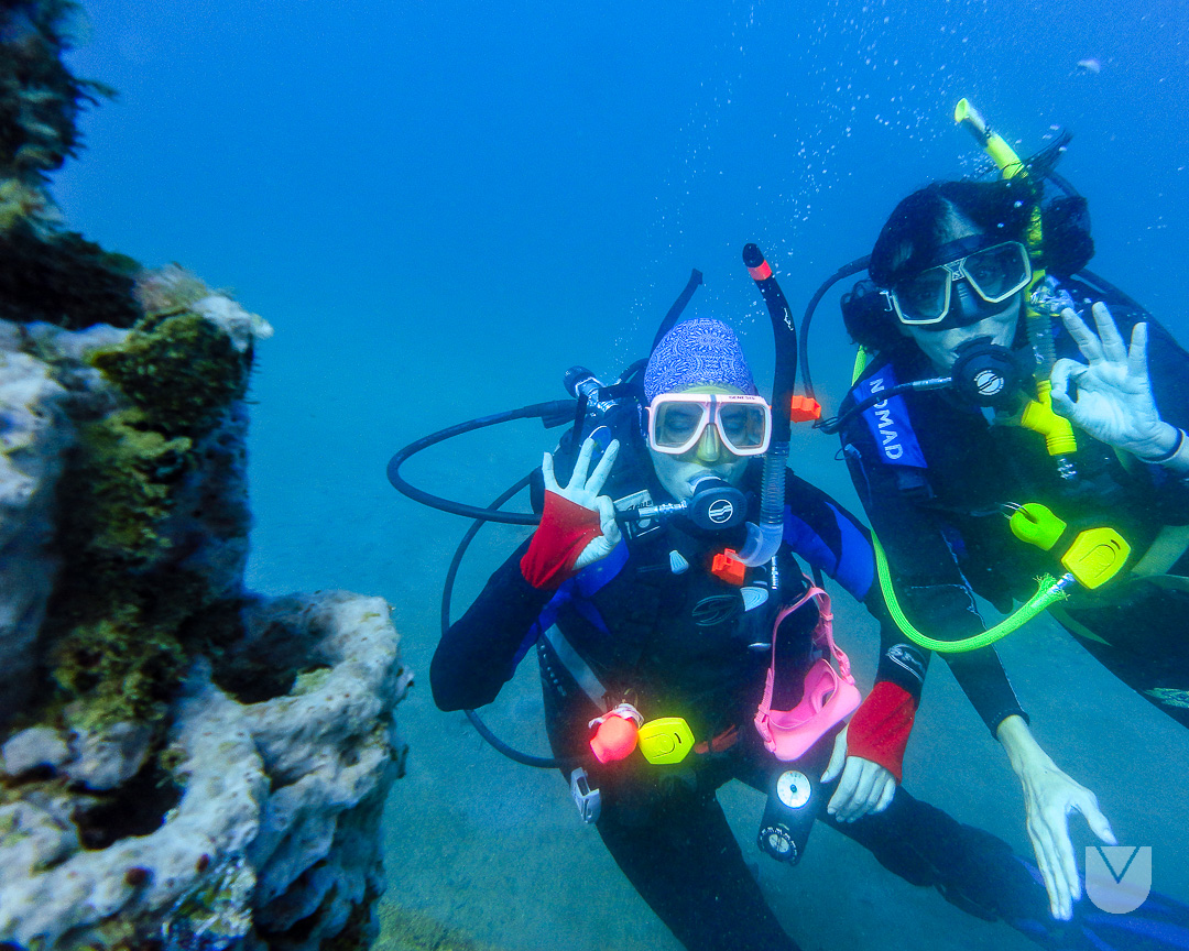 AzulScuba's tweet photo. Luego de seis meses en superficie YA regresamos al Azul. Siguiendo las normas y procedimientos de bio-seguridad disfrutamos mucho de las dos inmersiones del pasado sábado 26.
¿Te anotas?
#AzulScuba #UnMarDeAventuras
#Scuba #CursoOnlineVzla #BuceoEnVenezuela #CursoDeBuceo https://t.co/Dm8Dv9bjLm