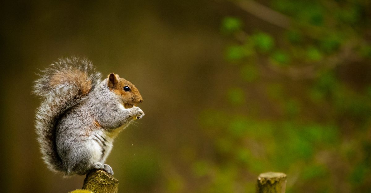 Life gets busy. Don't forget to laugh every now and then. #selfimprovement #bestlife  cpix.me/a/105370848