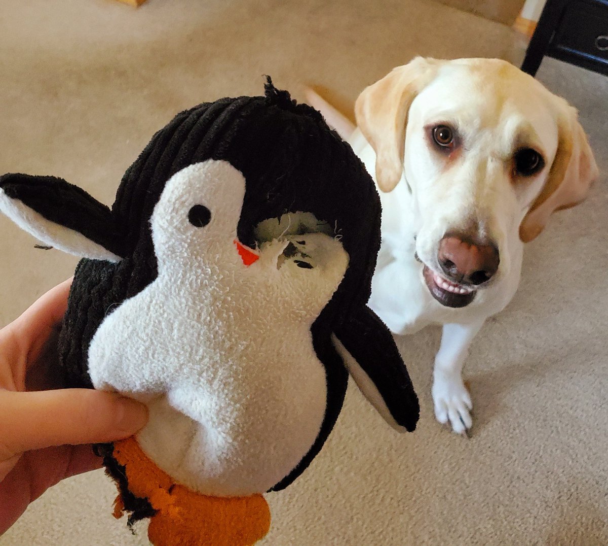 A.B. Robinette tweet media