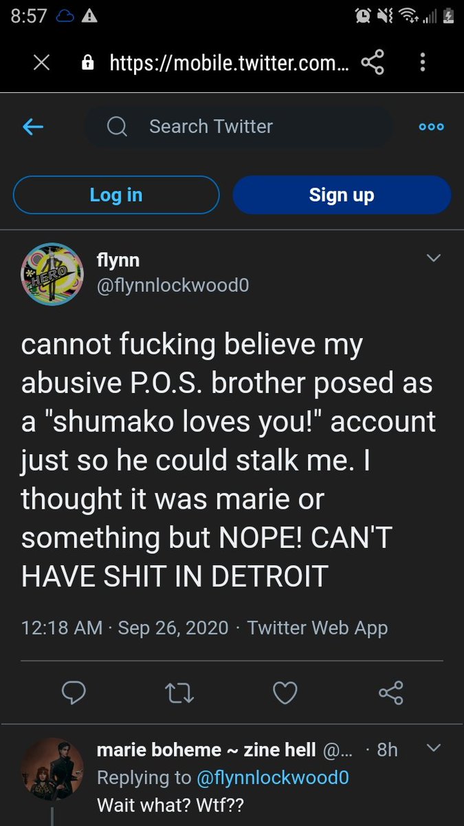 I admit that the shadow characters aren& #39;t exaggerations, it was simple mistake. But that doesn& #39;t justify her insulting for my opinions on video games.The last image calls me abusive and a poser. The account in question only had that name because, as stated above, I thought-