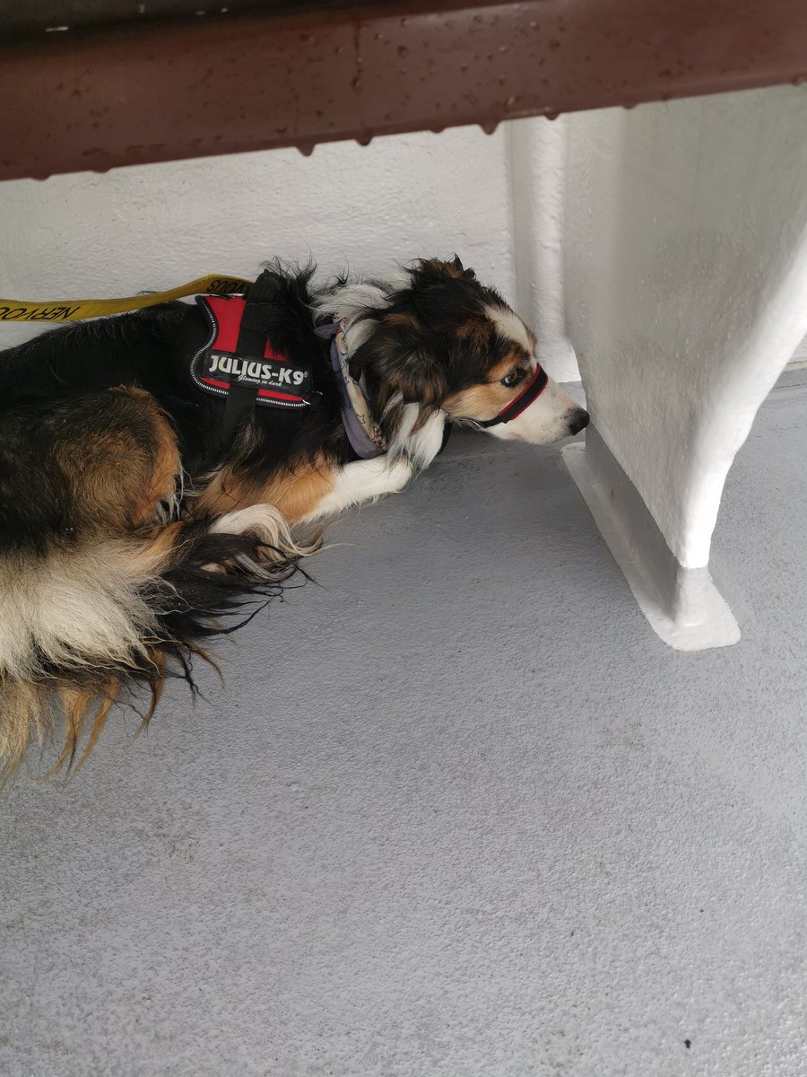 CandyBench's tweet image. Today they took me on a boat! I was not keen. Thank goodness there was a bench to hide under! #bordercollie
