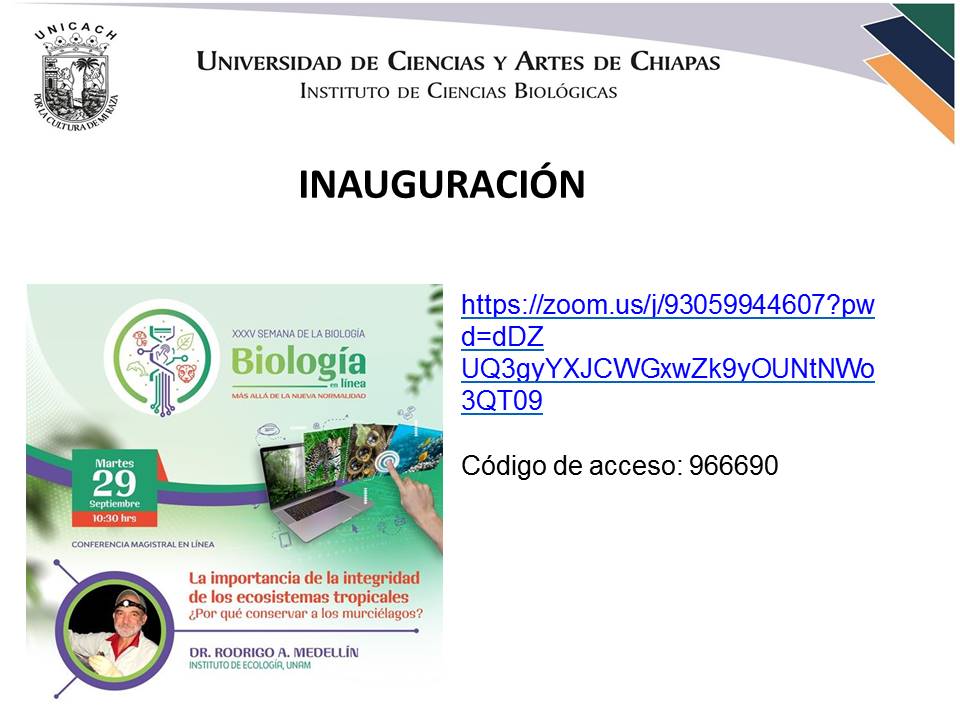 XXXV SEMANA DE LA BIOLOGÍA
Les hacemos una atenta invitación para que nos acompañen a la inauguración y la Conferencia Magistral del Dr. Rodrigo Medellín, el 29 de septiembre a las 10:00 horas.
Les compartimos el enlace por web Zoom