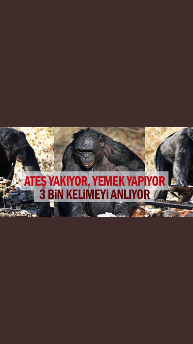 Yeteneklerim ve fotoğrafım ektedir,taliplerimi bekliyorum.