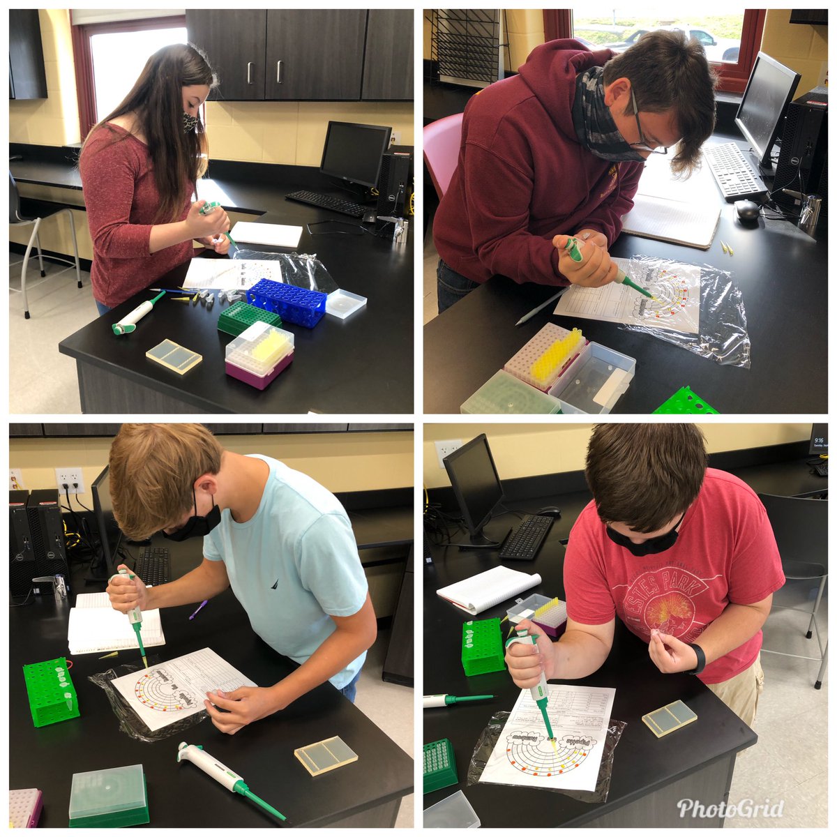 Robert Bauer tweet media