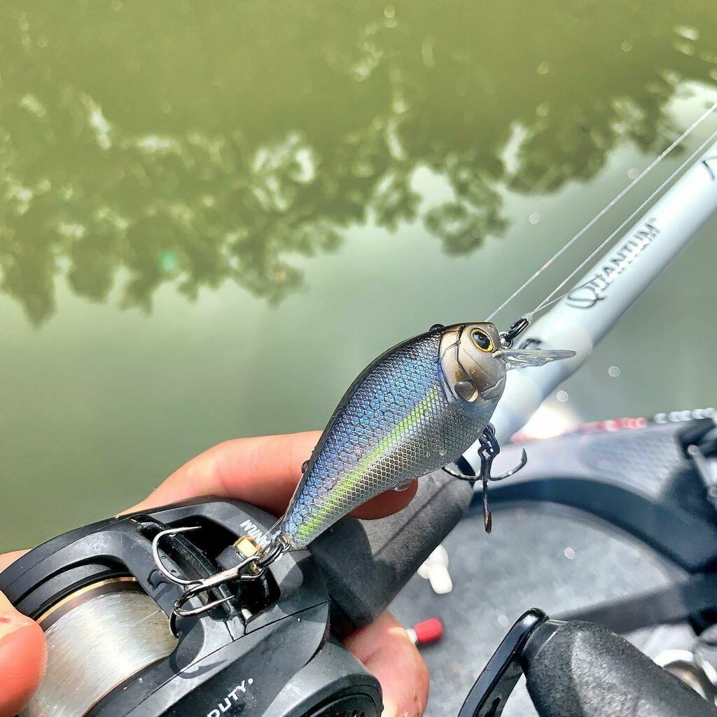 mattleefishing's tweet photo. Weather is starting to cool off and when it does and the fish start to get in small bait don't sleep on flashy squarebills like this Crush 50X in chrome threadfin.  #fishcatcher #6thsense #quantumfishing https://t.co/SQA9iR3GOd https://t.co/vvLBv3Psum