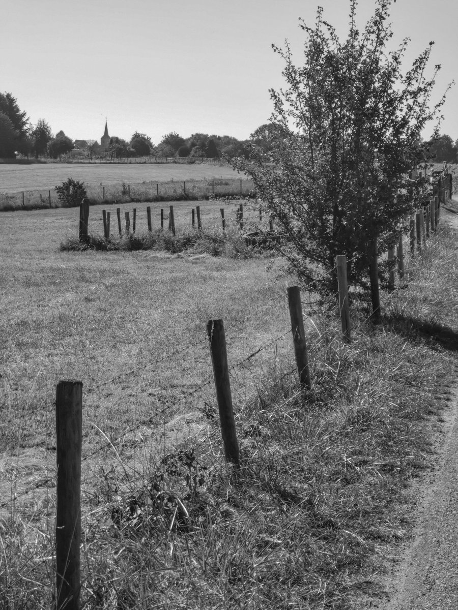 Before the deluge
Dutch farmscape near Valkenburg