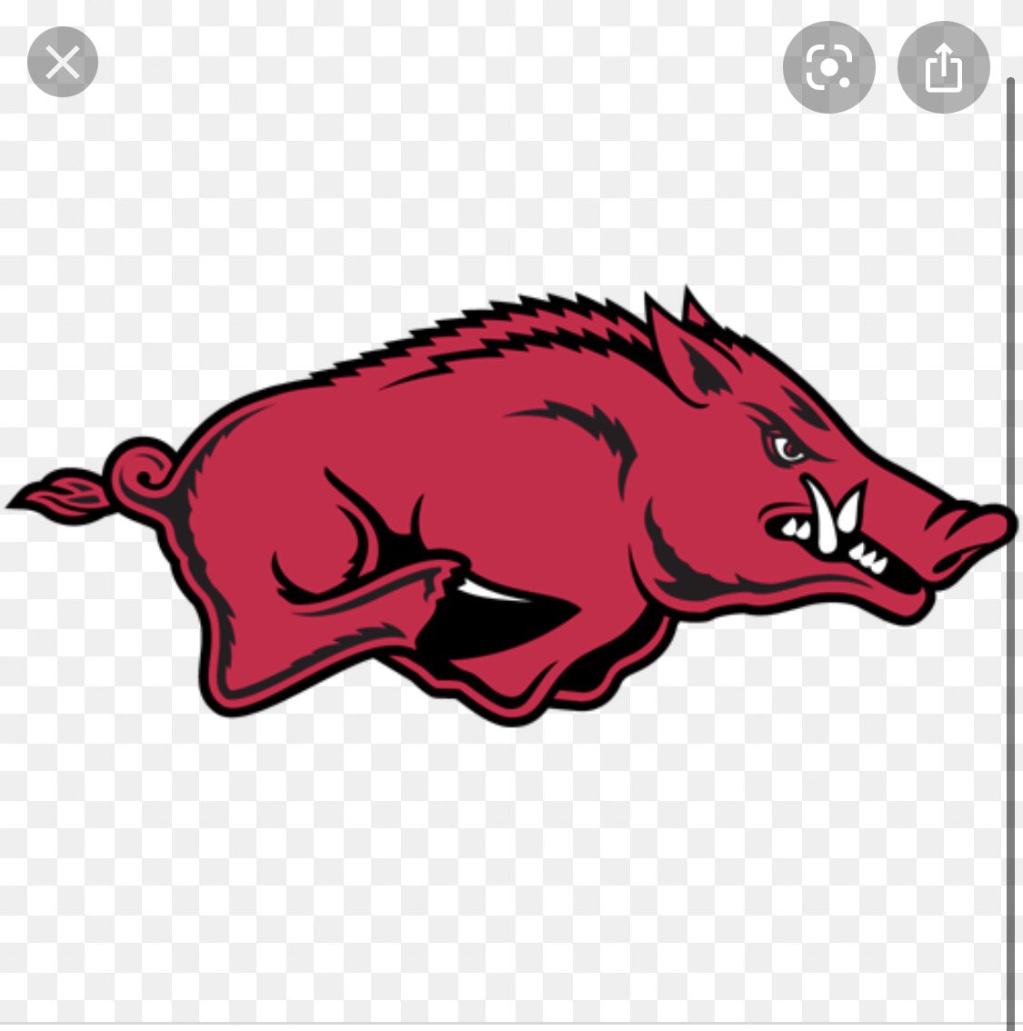 Thekvng10's tweet photo. Beyond blessed to receive my first d1 offer from university of Arkansas https://t.co/E1ibzhopkD