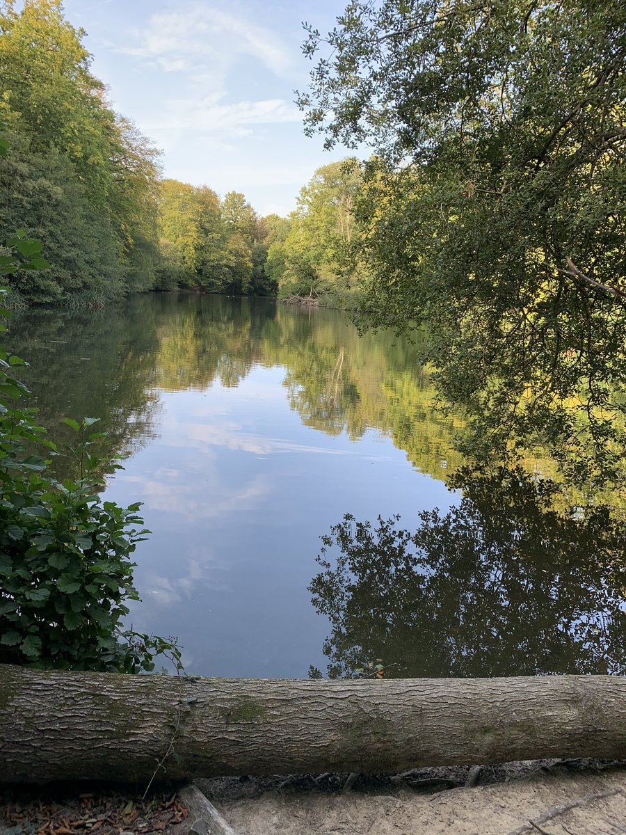 A nice walk after work with Dad today  near Nymans gardens UK #Feelmore #RamblersGB