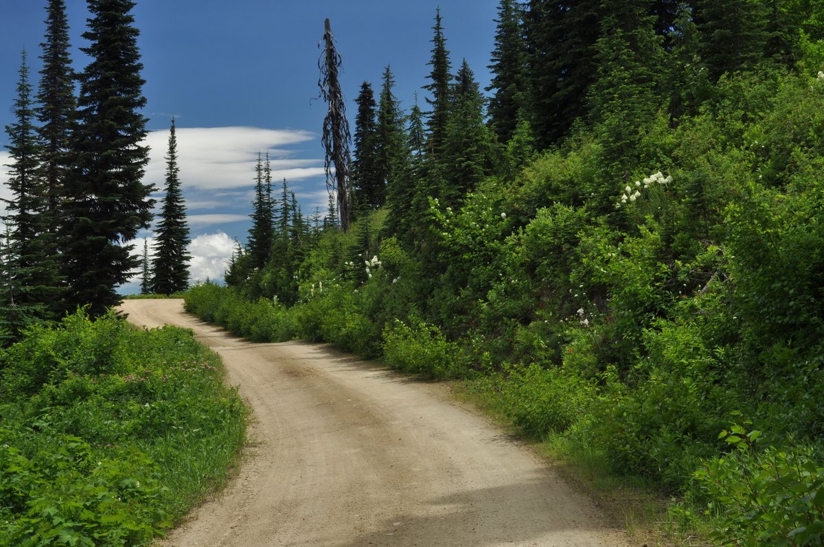 npnht's tweet photo. Today, June 20 is the first day of táyam (Summer)!

USDA Forest Service Photo by Roger M. Peterson

Happy Trails!! https://t.co/QXXrm1AM0H