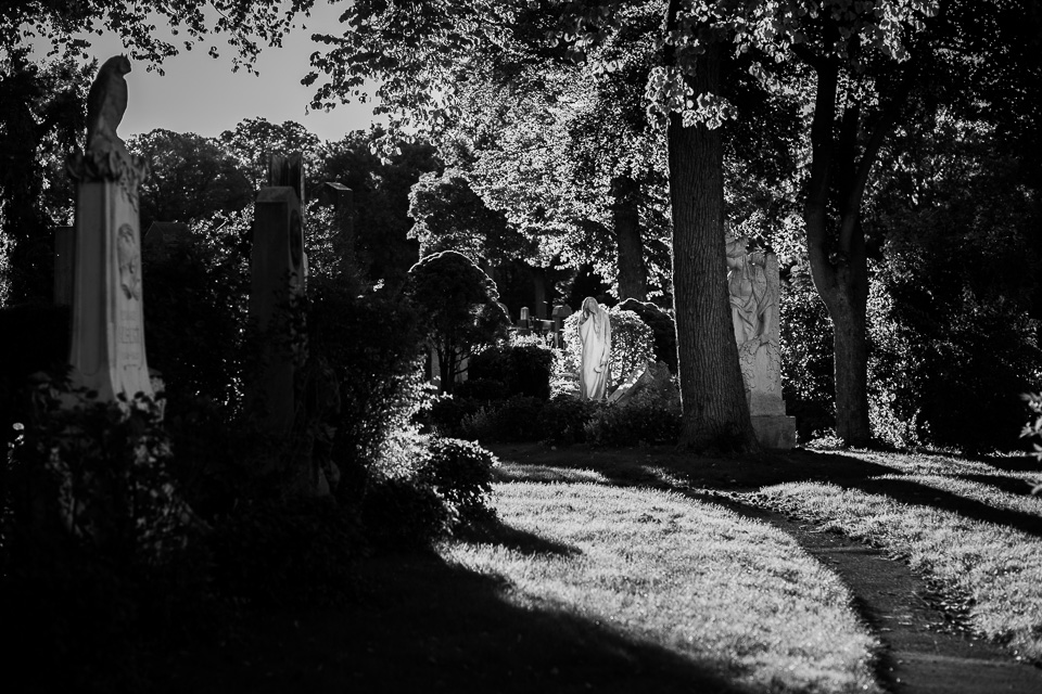 „Der Tod, das muss ein Wiener sein“, heißt es in einer Textzeile des Wienerlieds von Georg Kreisler. Das Grab eines meiner Helden der Kindheit – Theo Lingen – habe ich nicht entdeckt. Aber dafür etwa 3 Millionen andere. fotos.koma-medien.de/das-morbide-wi…