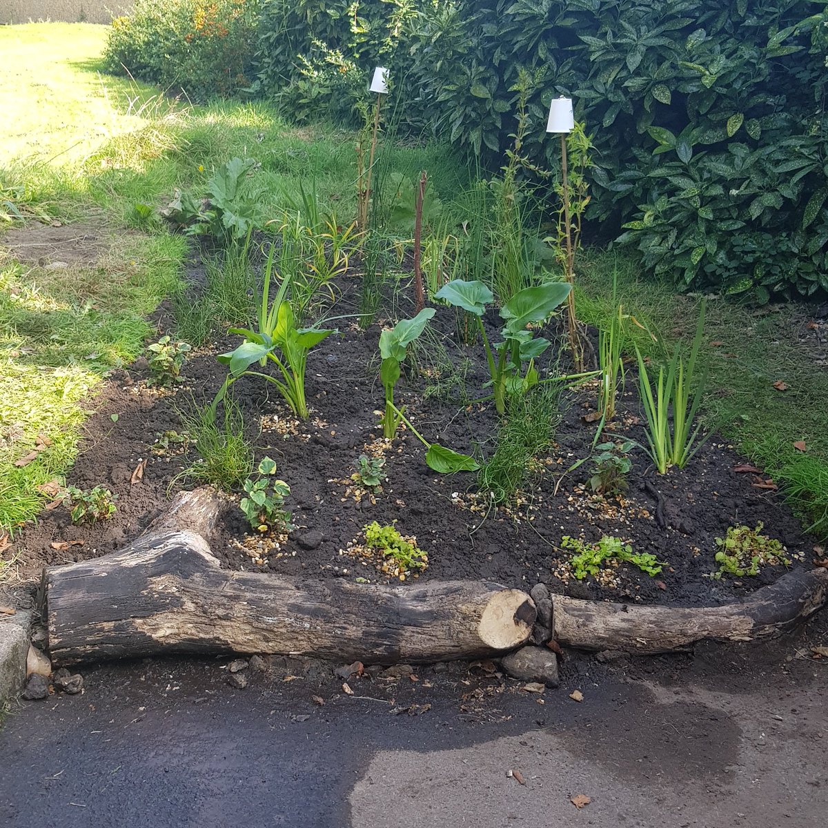 Our Bog for Life project well under way <a href="/heswallmagazine/">Heswall Magazine</a> <a href="/ActionOnWirral/">Community Action Wirral</a> <a href="/CheshireWT/">Cheshire Wildlife Trust</a> <a href="/HeswallHall/">Heswall Hall</a> <a href="/Japes21/">Jean-Paul</a> <a href="/revolu4ion/">Revolu4ion ☀️</a> <a href="/PostcodeLottery/">Postcode Lottery</a> <a href="/WirralLibraries/">Wirral Libraries</a>