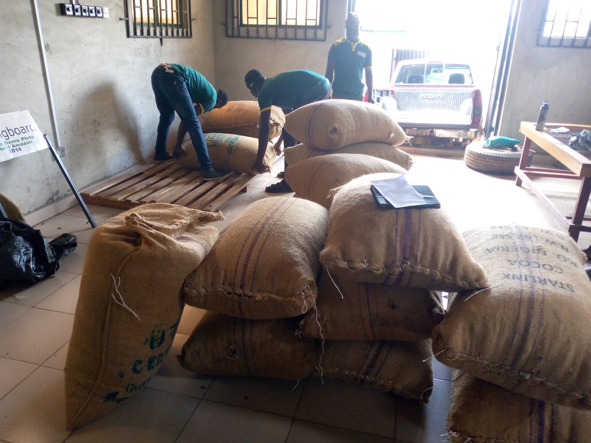 Quality cacao beans means several things to us at <a href="/Springboardnig2/">Springboardnigeria</a>: better life for springboard's cacao farmers, nutritious healthy food for chocolate lovers and healthy environment!