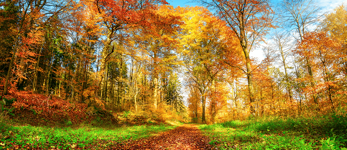 It may be that we are starting to notice dusk arriving earlier or that we are just hoping to wrap up 2020 and start anew, but here at BPAS, we have an eye on 2021 budgeting for our clients. It seems early to be discussing; let’s all look ahead. Read more: bpas.com/blog/budgeting…