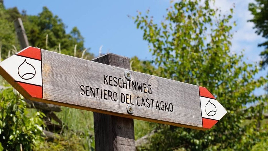 suedtirol_info tweet picture