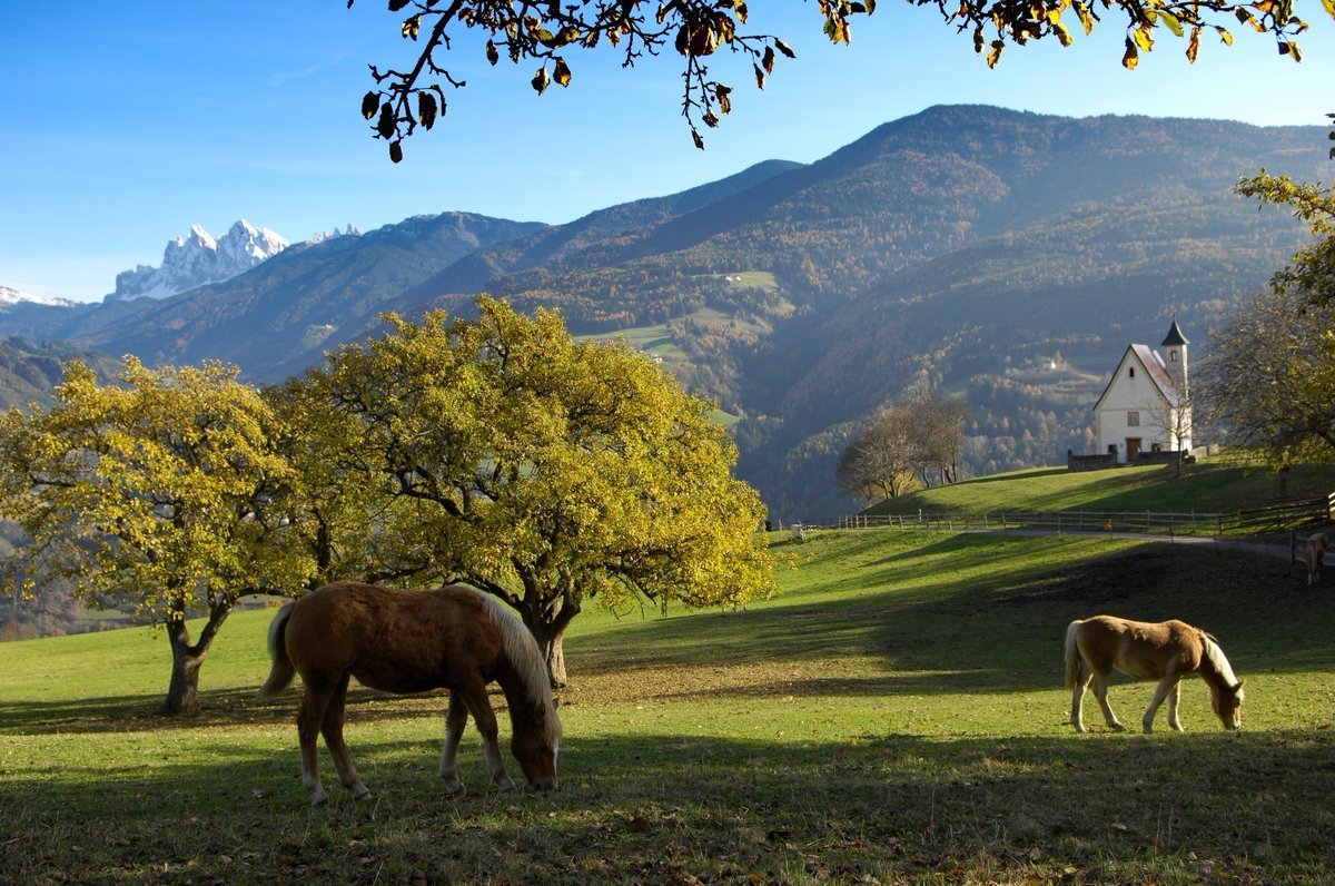 suedtirol_info tweet picture