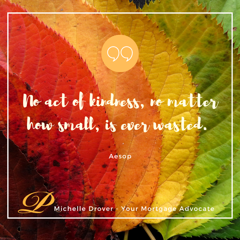 MLDrover's tweet image. No act of kindness, no matter how small, is ever wasted! ❤️

#MondayMotivation #BeKind