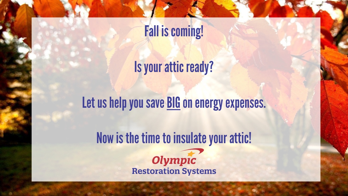 If you are tired of paying a fortune for energy bills to keep your home at a comfortable temperature, let us come give you a FREE, no obligation estimate.
1-888-756-5967 or visit us at olympicrestoration.com