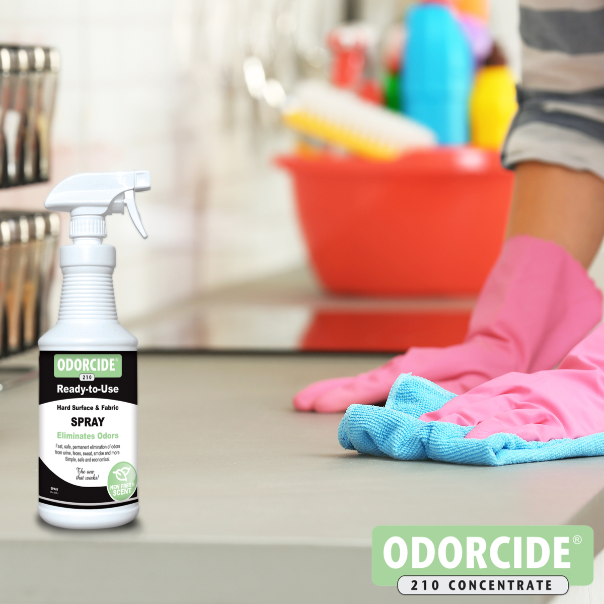 odorcide210's tweet photo. Deodorize while you clean with Odorcide! #Clean #Cleaning #Odorcide #Odorcide210 https://t.co/z0xScokdCX
