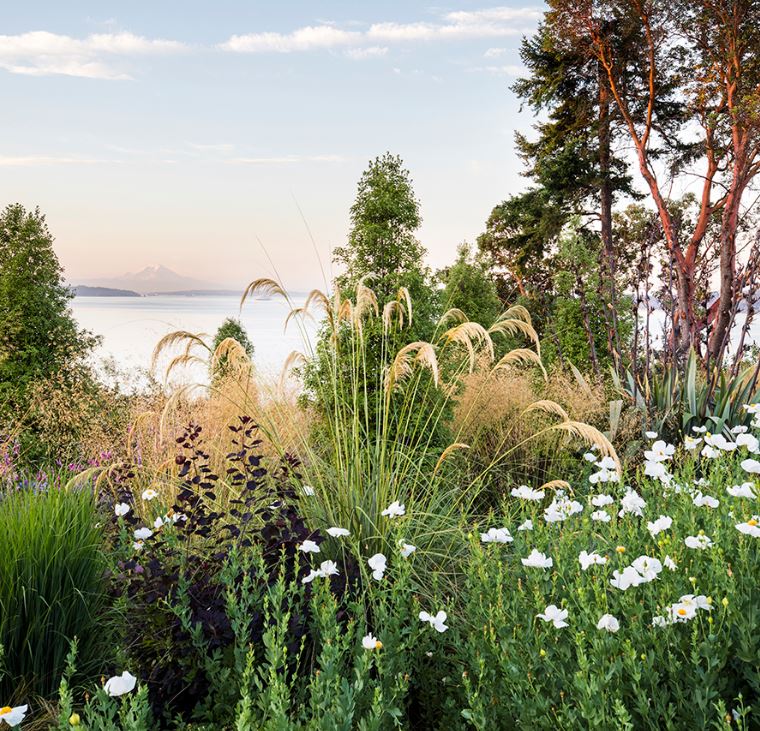 Don't miss this webinar! Explore Dan Hinkley's new book, Windcliff: A Story of People, Plants, and Gardens with a live webinar on Wednesday Sept 30th.

Register ow.ly/8r4M50BByVn
Fundraiser benefitting <a href="/nwhortsociety/">Northwest Horticultural Society</a> and  <a href="/heronswoodgrdn/">Heronswood Garden</a> 
Photo by Claire Takacs (amazing!)