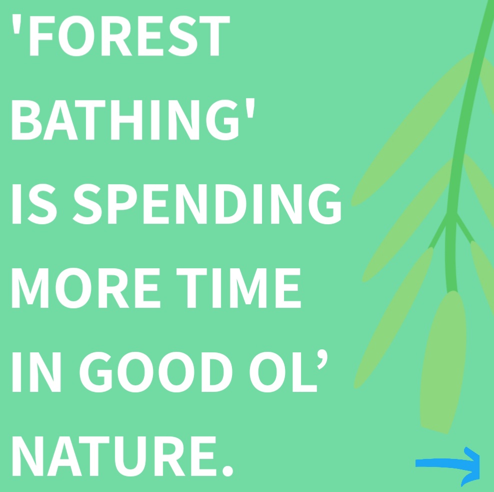 Digitalzen_sa's tweet photo. Technology has made indoor living easy. It provides hours of entertainment &amp; offers answers to most of our questions. So, why would you go outside when the world is at your fingertips? There are many reasons. The key one: Time in nature is linked to promoting better mental health https://t.co/zPfgzqu51W
