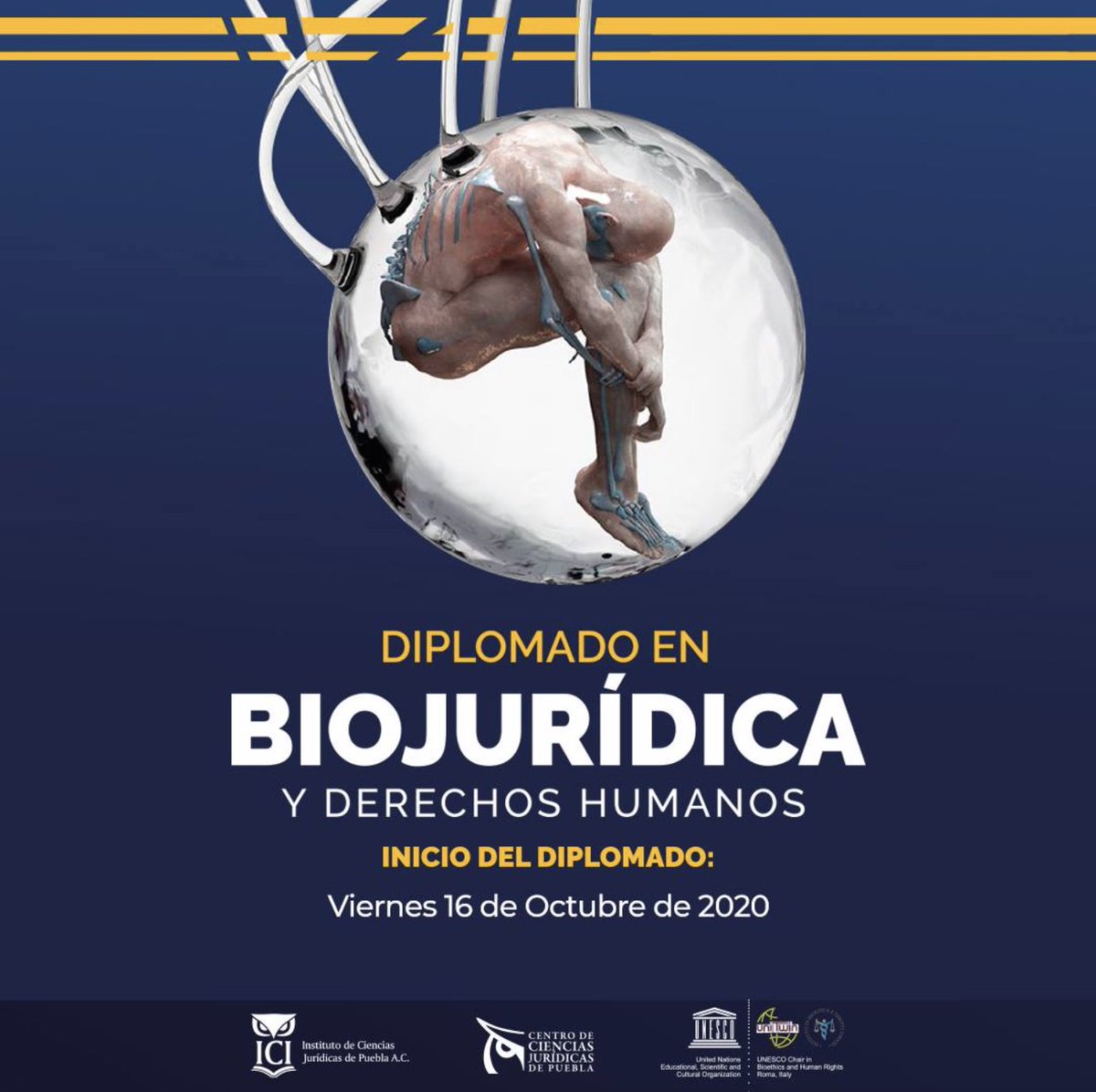 CCJP_Puebla's tweet photo. ¡Que no se te pase la fecha!🚨

Este 16 de octubre da inicio nuestro diplomado en “Biojurídica y Derechos Humanos”. https://t.co/S284uohe1D