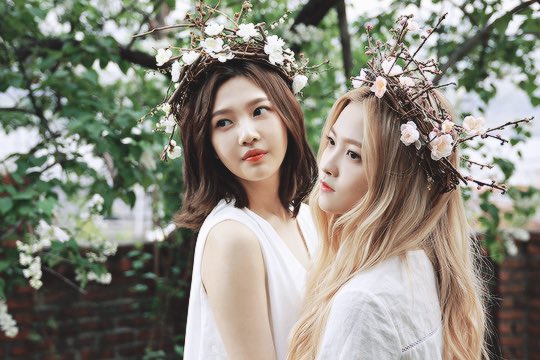 cuteyeripics's tweet photo. superior joyri photoshoot https://t.co/45bGtSsrgV