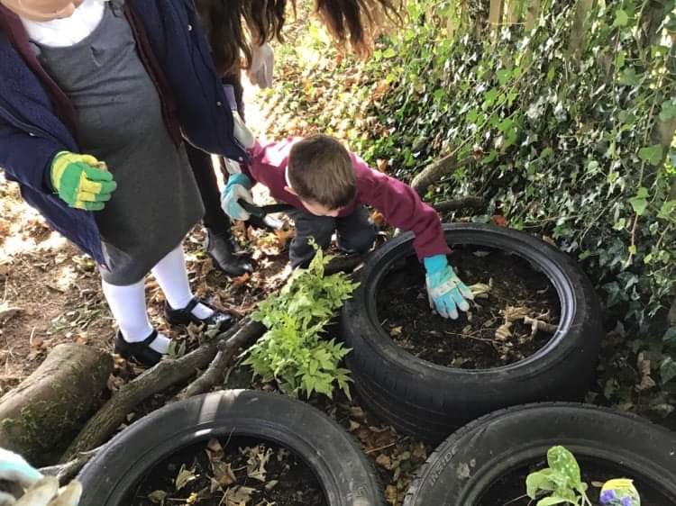Pupils doing a fabulous job planting the tyres at the entrance to our #forestschool #mpfamily