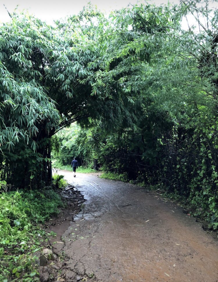 HetPancholi1's tweet image. Image capture on crowdsource 
#SpringChallenge
#GoogleCrowdSource 
#imagecapture