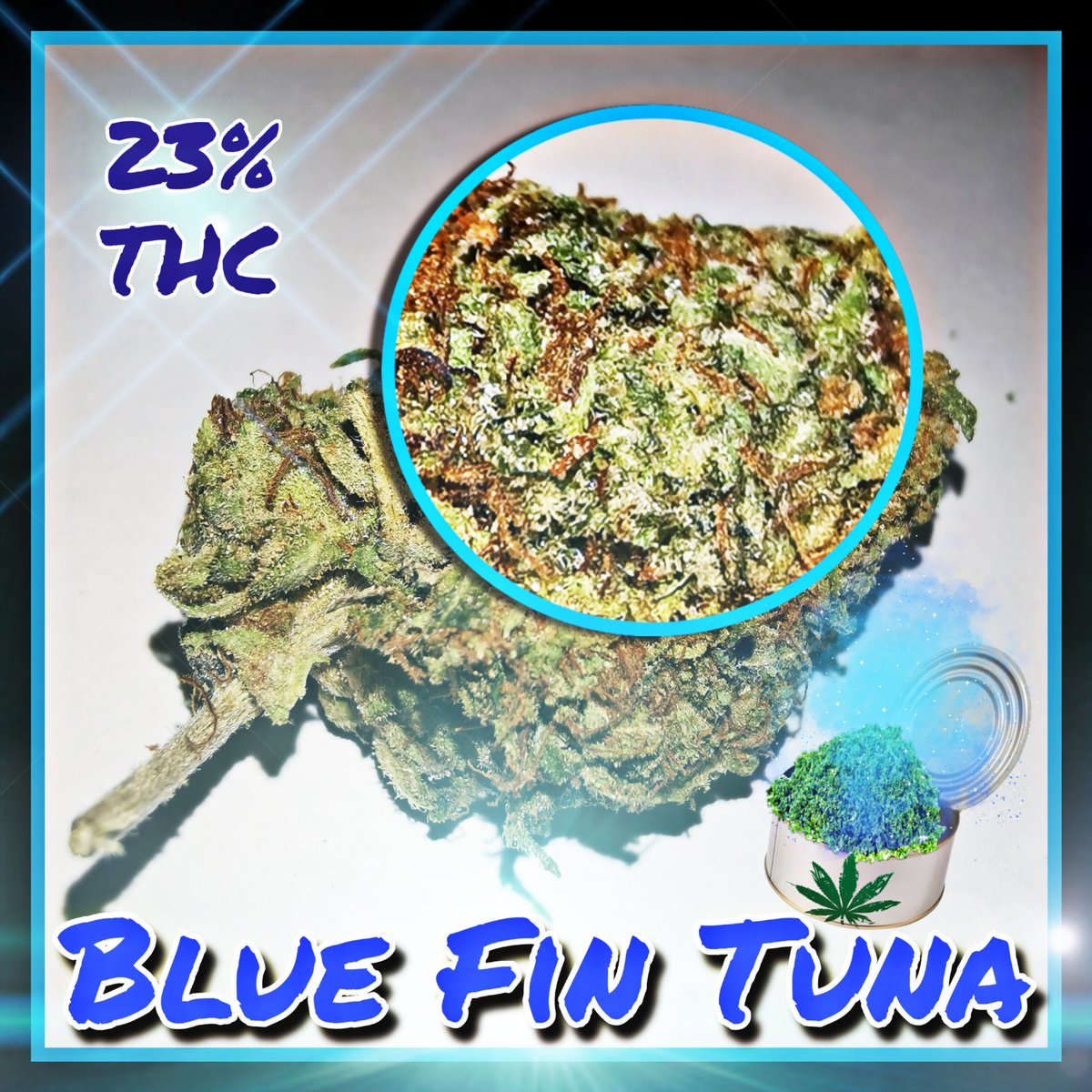 Ptbo420Delivery's tweet photo. #bluefintuna  #menuupdate #weedmenu #pothead #420daily #weedmapsptbo #stonerlife #chronicchimp #ptbopothead #cannabisculture #ptbopothead #peterboroughcanada #420community #420crew #weeddelivered
#weedmapsptbo #weedmenu https://t.co/7sHAe8YlCu
