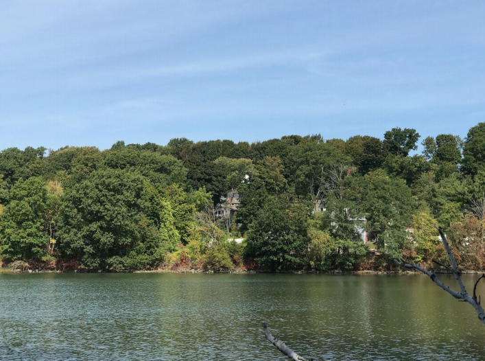 DerbyAcademy's tweet photo. Pre-K on the lookout for autumnal colors down by beautiful Bare Cove, just steps away from campus! π #ImproveBoth #MissionMonday #Hingham https://t.co/1rHijXZPhM