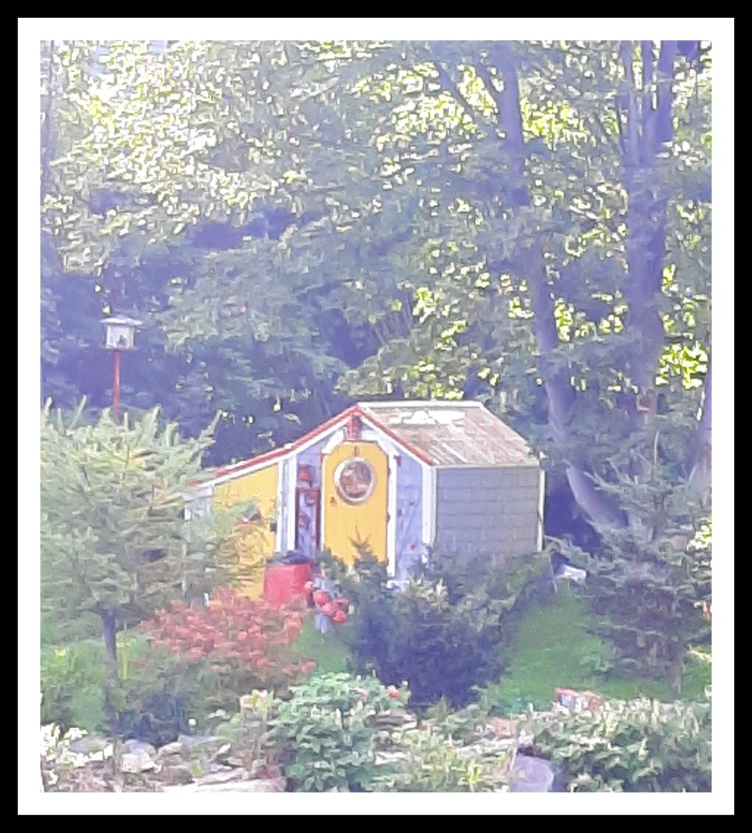 I loved the way the sunlight filtered through the leaves and lit up this little garden shed. #newfoundland #stjohns #quidividi