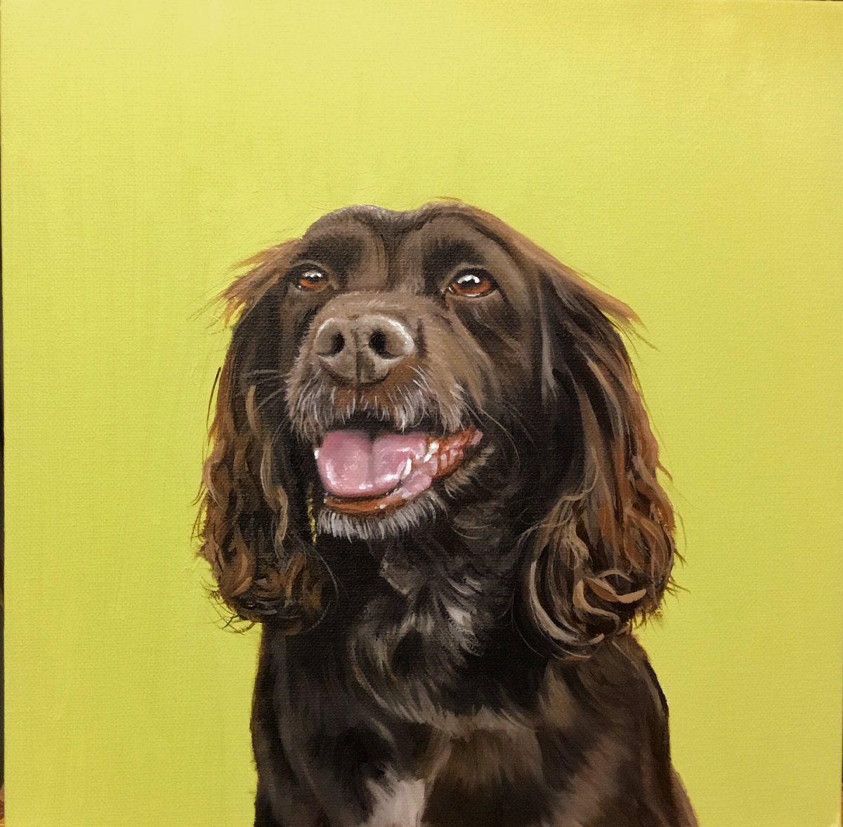 CCanines_Art's tweet image. @PrestonHour 
I have a few spaces to create around 5 more portraits before Christmas 
Dogs , Cats and Horses