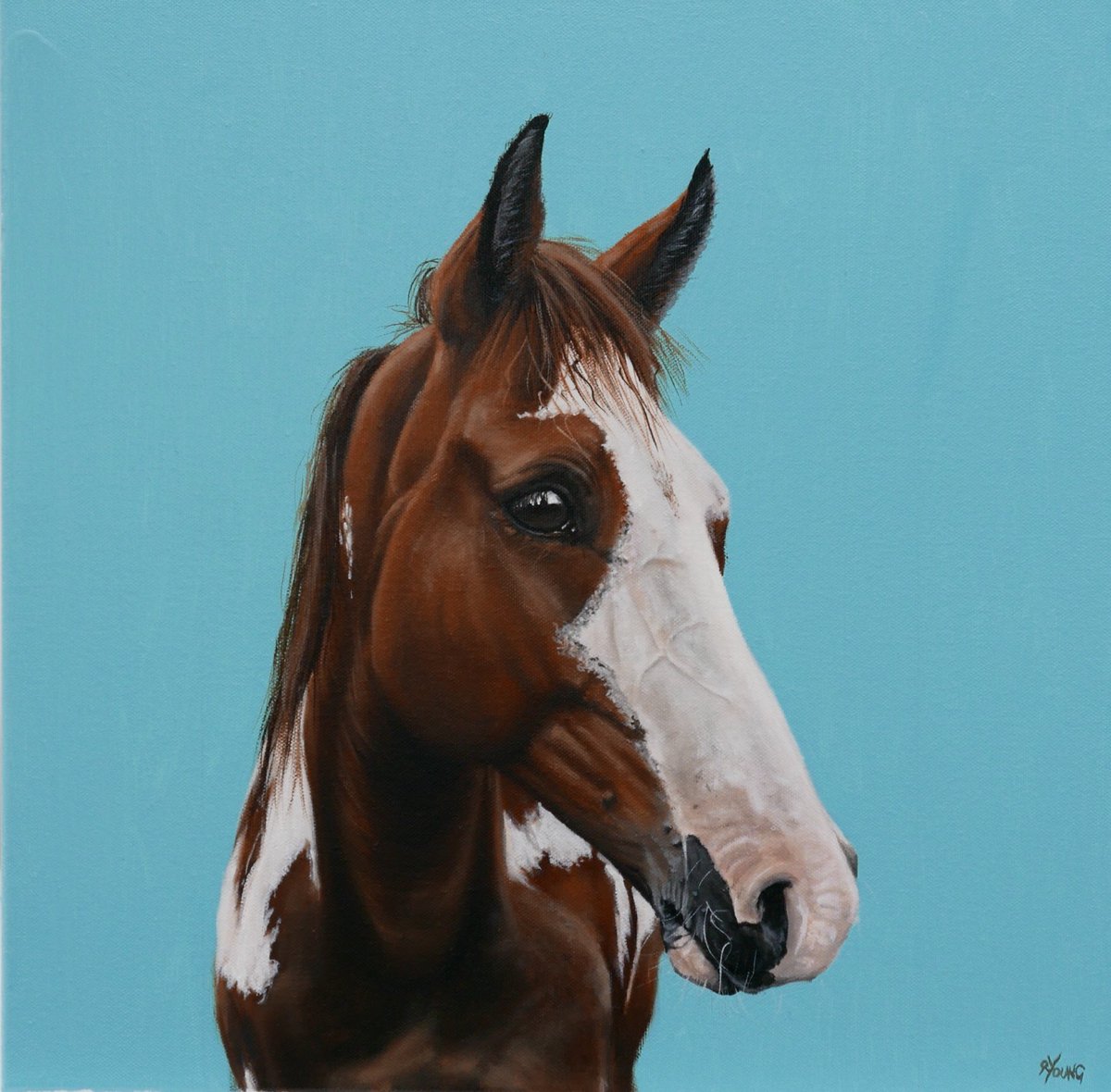 CCanines_Art's tweet image. @PrestonHour 
I have a few spaces to create around 5 more portraits before Christmas 
Dogs , Cats and Horses