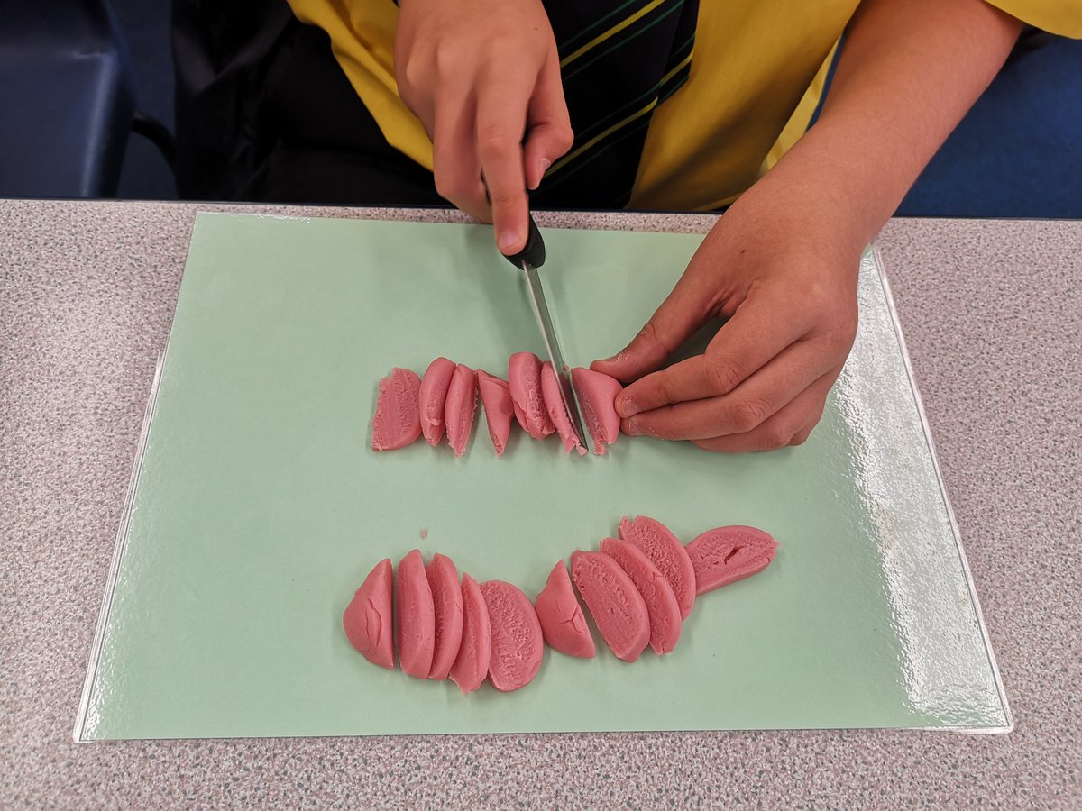 MrsC_BHCS_Tech's tweet image. Year 7 had great fun practicing their knife skills today. We may not be able to get into the kitchens at the minute but we&apos;re working hard to upskill &amp;amp; engage our students. #AlwaysInnovating #FoodPrepAndNutrition @mrssfletch @BHCS_CIF @BrightonHillSch #RiskAssessmentDone