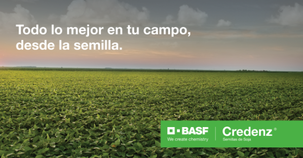 BASF_Agro_ARG's tweet photo. ¡Potenciá el rendimiento de tu campo con #BASFCredenz! Encontrá la variedad que mejor se ajuste a tus necesidades y da el primer paso para una campaña exitosa. Leé más en 👉 https://t.co/Bjb7q1iTkT https://t.co/5r0fL2xwu4