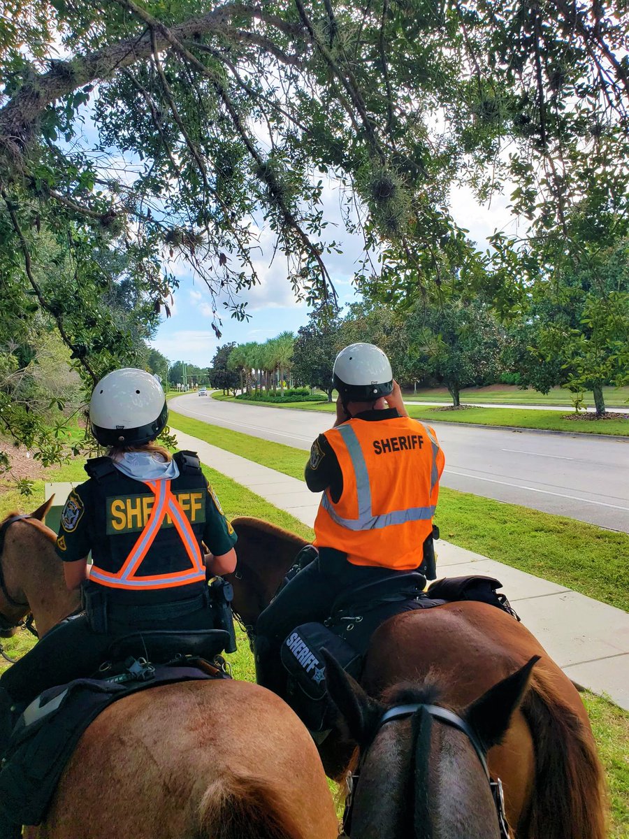 MCSO Mounted Deputies Jaxon, Gunny & Benny want to make sure our kids make it to school safely. They need you to do your part - stop for school buses, and slow down & put your phone down in school zones.  #TrafficTipTuesday #SlowDownForSchoolZones #StopForBuses