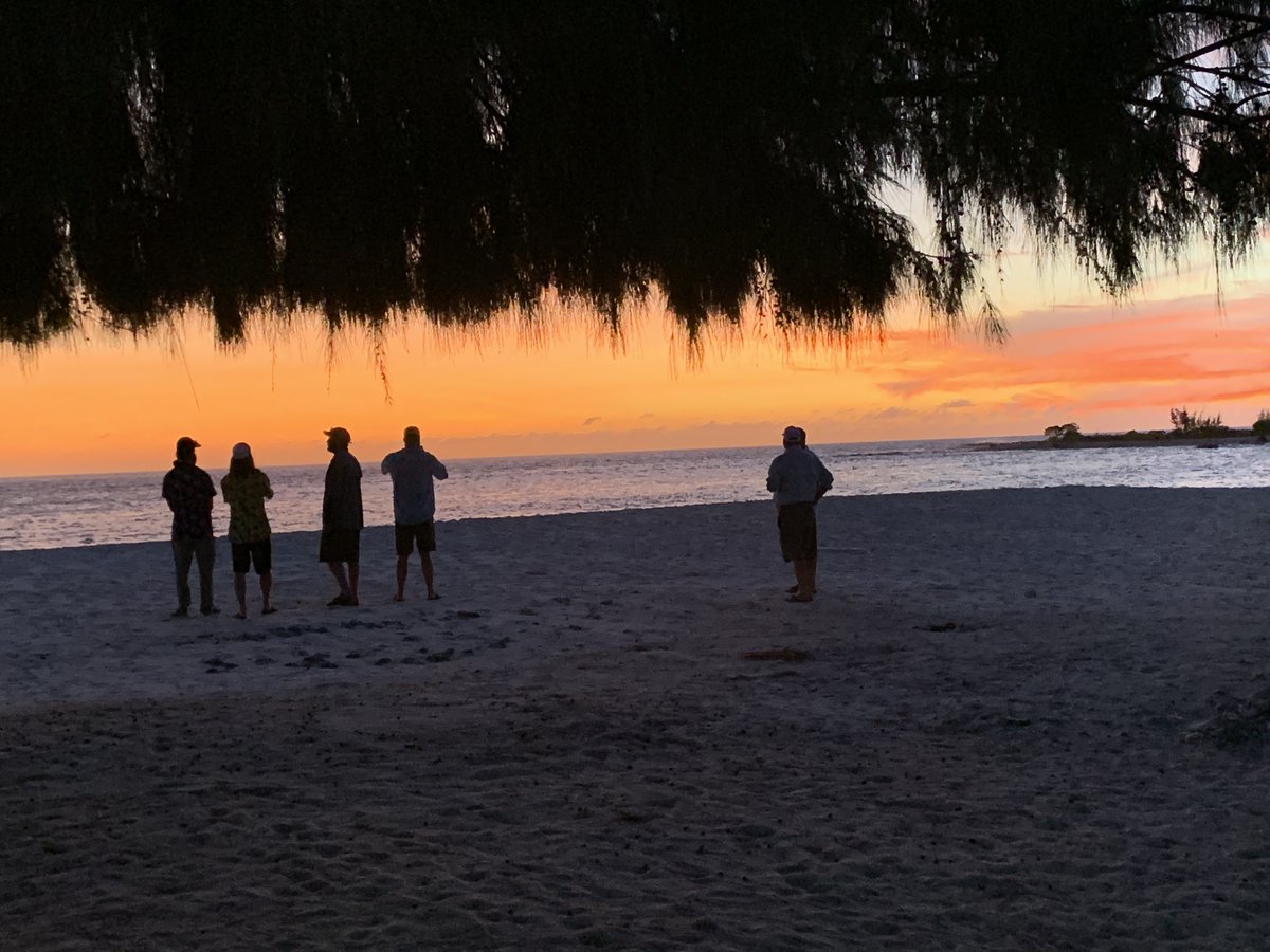 FishChristmas's tweet photo. Remains of the day, Christmas island, Republic of Kiribati #ikarihouse #fishchristmasisland #sageflyfish #wrfguides #patagonia_flyfish #flyfishing #travel #getoutthere #bonefish #nautilusreels  Fish Christmas Island https://t.co/RXvPp8YMS5