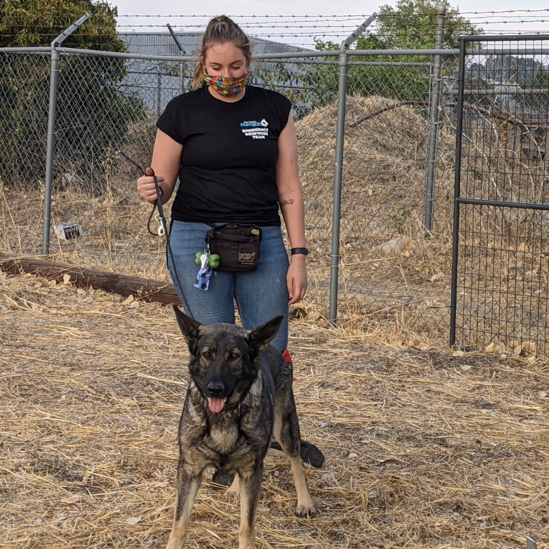 sdhumane's tweet image. Our Emergency Response Team is returning from Butte County after nearly two weeks during which they helped care for 100 animals affected by the #NorthComplexFire. As fires continue &amp;amp; temperatures rise, it's crucial that families are prepared to evacuate before mandatory orders.