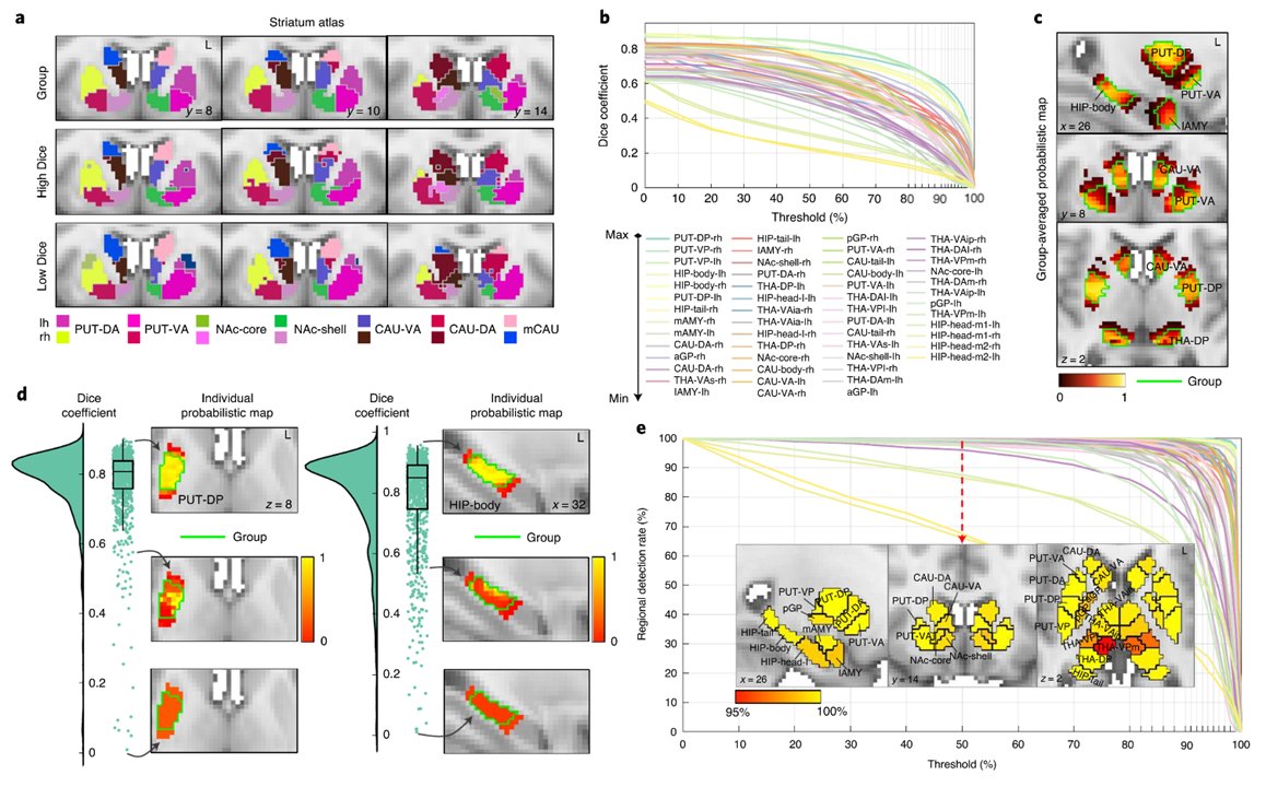 4/6: Using machine learning techniques, we personalized the group-consensus atlas to account for individual differences in connectivity. All regions were detected in unseen individuals.