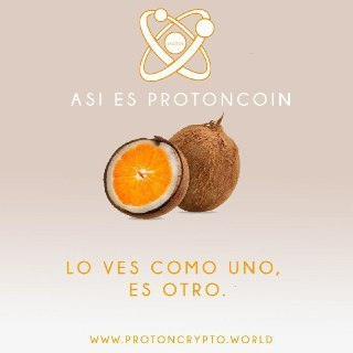 luisbrother31's tweet photo. Conoce la primera comunidad latinoamericana de #Criptomonedas donde podrás minar #gratis #Protoncoin 
✅Visítanos en https://t.co/rOBptnr4FO 
✅Entérate como #trabajar desde tu hogar
#BTCUSD #DASH #LTC #dogecoin #Ethereum #TRON #NEON #Monero #IOTA #XRP #Binance #Tether  #ADA https://t.co/a9kztwtAVw